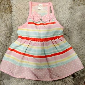 Striped Dog Dress